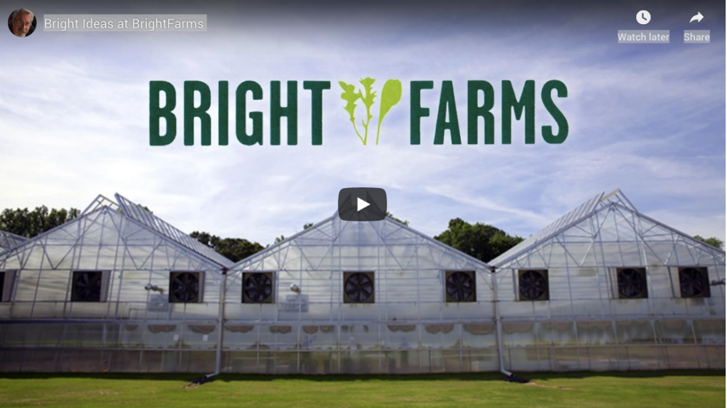 {SupermarketGuru} Bright Ideas at BrightFarms