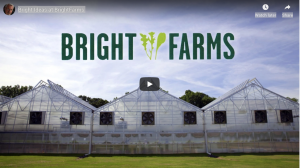 Read more about the article {SupermarketGuru} Bright Ideas at BrightFarms