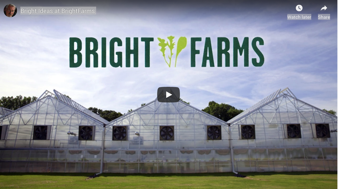 You are currently viewing {SupermarketGuru} Bright Ideas at BrightFarms